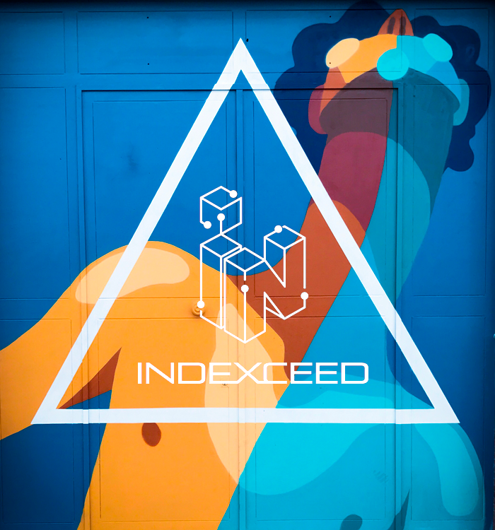 Logo indexceed